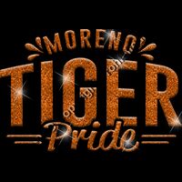 GLT62 ORANGE GLITTER Thumbnail