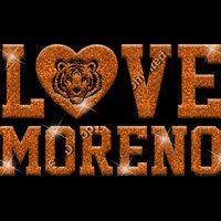 GLT51 ORANGE GLITTER Thumbnail