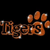 GLT17   ORANGE GLITTER Thumbnail