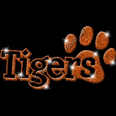 GLT17   ORANGE GLITTER Thumbnail